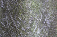 Leverington fibreglass roof work